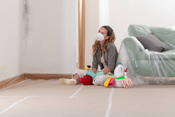 Reliable Mold Testing contractor in Mifflintown, PA by WQB Mold Removal